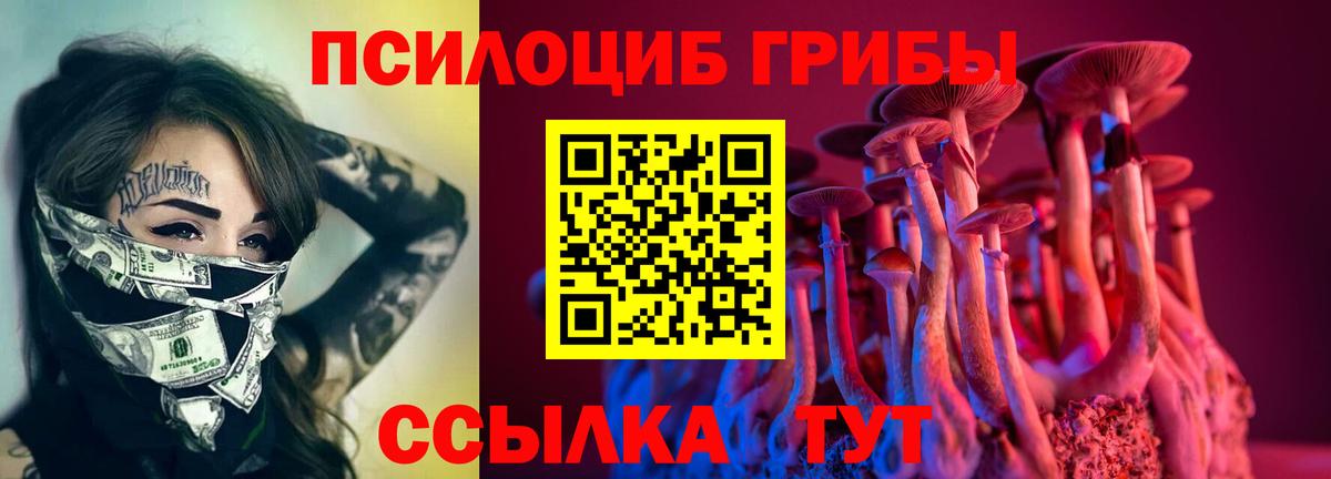 Галлюциногенные грибы GOLDEN TEACHER Семёнов